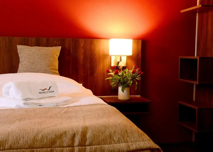 Hotel U Hada Zatec